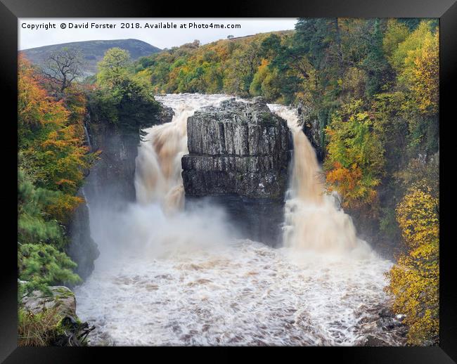 High Force Autumn Framed Print by David Forster