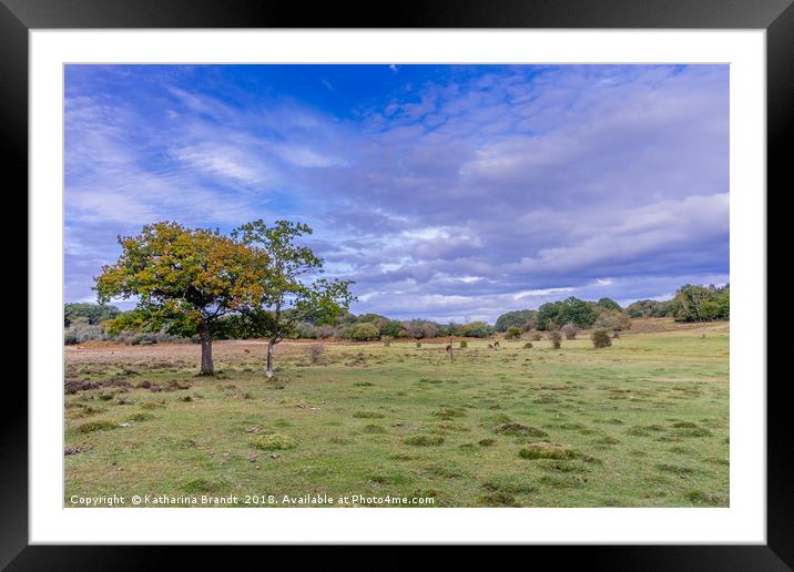 New Forest National Park, UK Framed Mounted Print by KB Photo