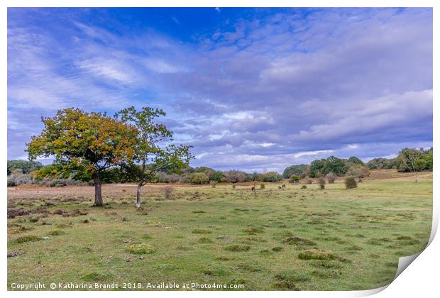 New Forest National Park, UK Print by KB Photo