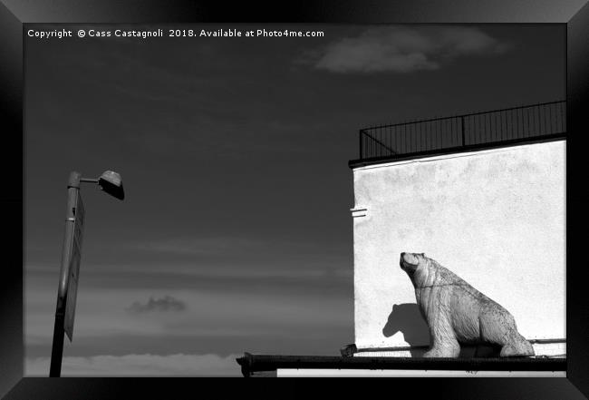 Whitby Bear Framed Print by Cass Castagnoli