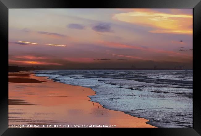"Golden sunset , Silver sea" Framed Print by ROS RIDLEY