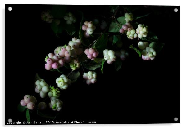 Snowberries Acrylic by Ann Garrett