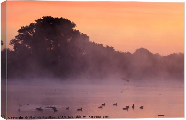Early morning and birds at Attenborough Canvas Print by Vladimir Korolkov