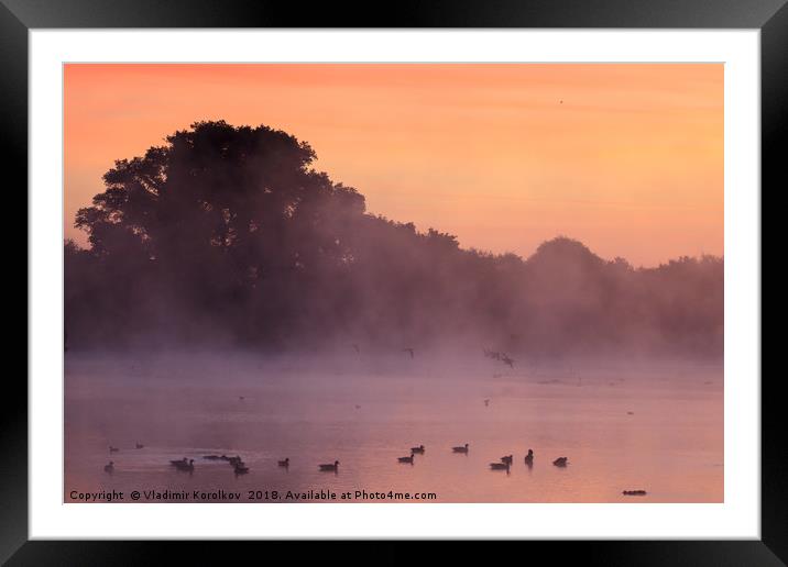 Early morning and birds at Attenborough Framed Mounted Print by Vladimir Korolkov