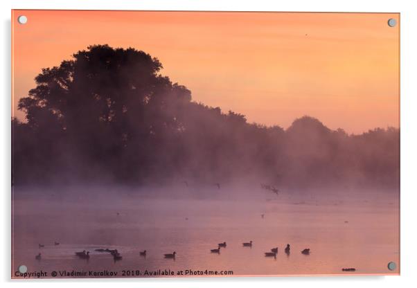 Early morning and birds at Attenborough Acrylic by Vladimir Korolkov