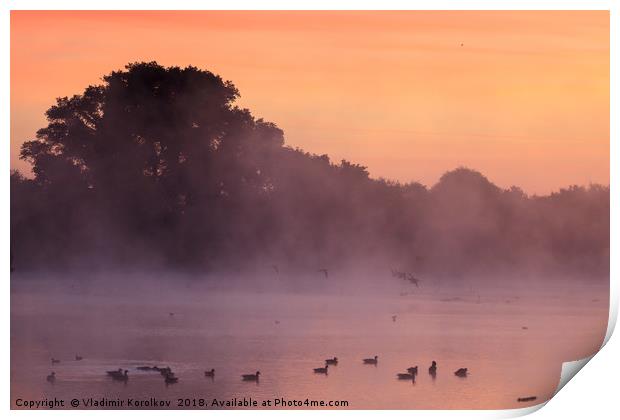 Early morning and birds at Attenborough Print by Vladimir Korolkov