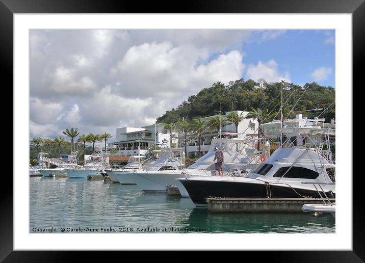 The Harbour at Quepos Framed Mounted Print by Carole-Anne Fooks