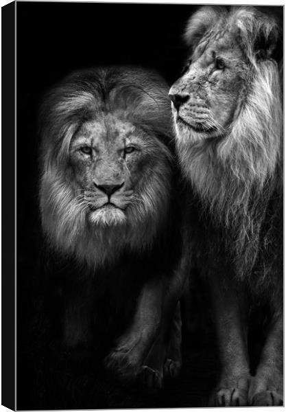 Brothers Canvas Print by Maria 