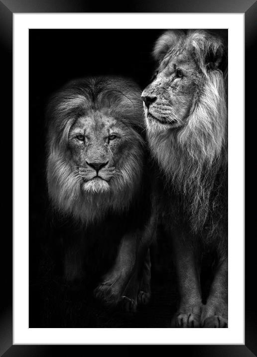 Brothers Framed Mounted Print by Maria 