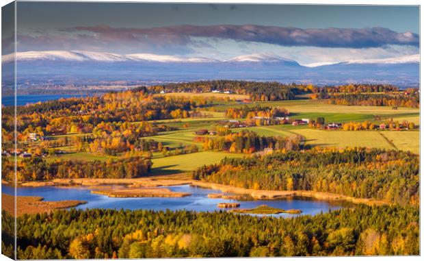 Autumn in Jämtland Sweden Canvas Print by Hamperium Photography