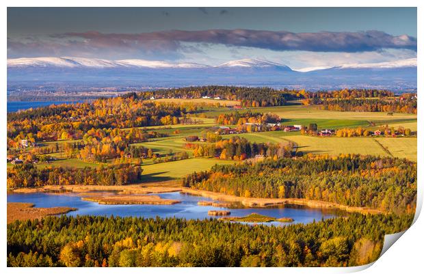 Autumn in Jämtland Sweden Print by Hamperium Photography