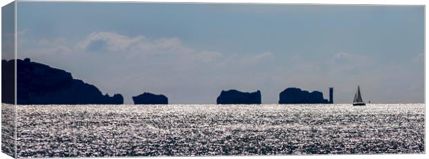 The Needles in silhouette Canvas Print by tim miller