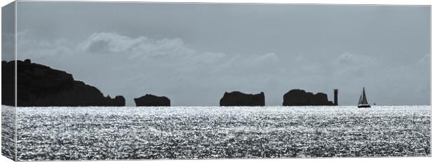The Needles in silhouette 2 Canvas Print by tim miller
