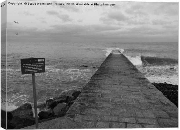 Dawlish Slipway Canvas Print by Steve WP