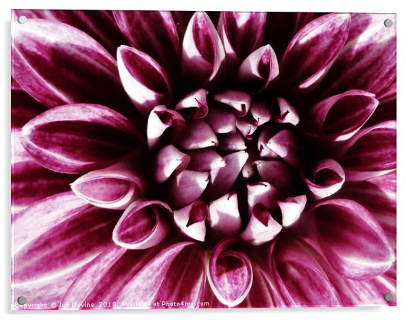 Red Dahlia Acrylic by Juli Davine