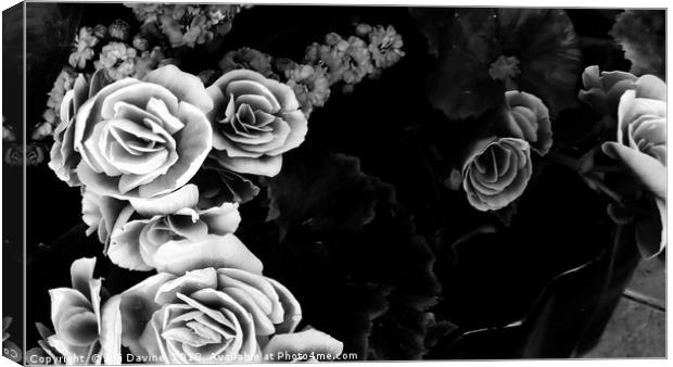 Black & White Garland Canvas Print by Juli Davine