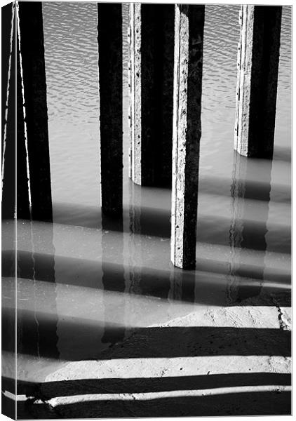 Black and White Reflections Canvas Print by Christine Lake