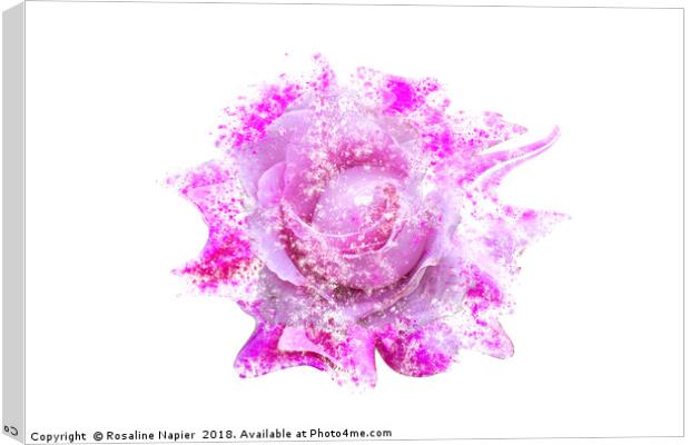 Pink rose heavy paint splatter effect Canvas Print by Rosaline Napier