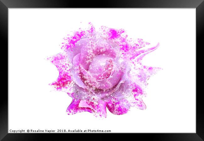 Pink rose heavy paint splatter effect Framed Print by Rosaline Napier