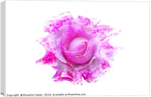 Pink rose light paint splatter effect  Canvas Print by Rosaline Napier