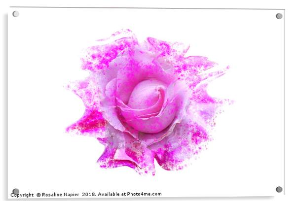 Pink rose light paint splatter effect  Acrylic by Rosaline Napier