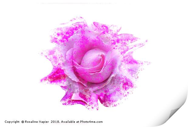 Pink rose light paint splatter effect  Print by Rosaline Napier