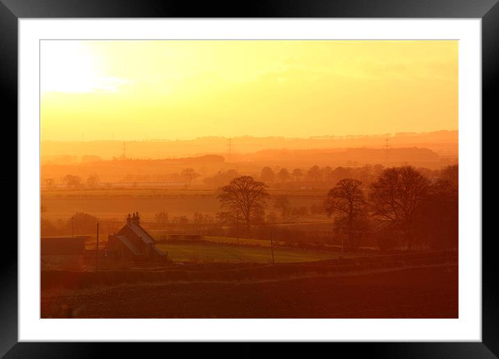 Golden Glow at Whitsome Framed Mounted Print by Gavin Liddle