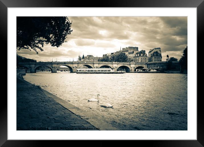 The Seine, La Seine - Paris  Framed Mounted Print by NKH10 Photography
