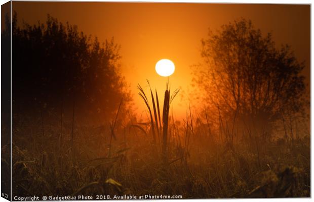 Sunrise from beneath the marshes Canvas Print by GadgetGaz Photo
