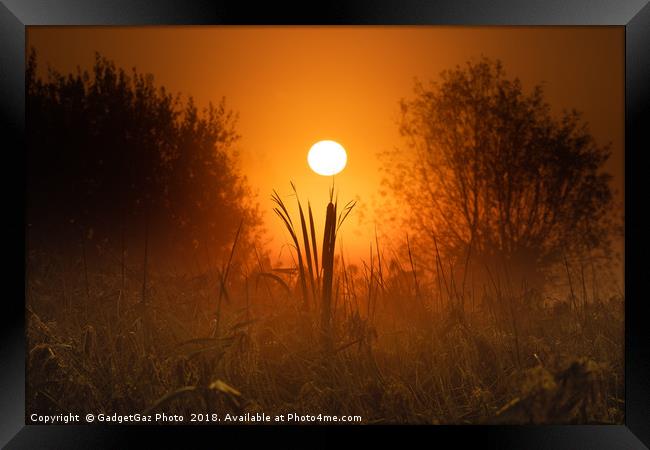 Sunrise from beneath the marshes Framed Print by GadgetGaz Photo