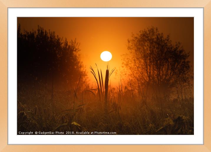 Sunrise from beneath the marshes Framed Mounted Print by GadgetGaz Photo