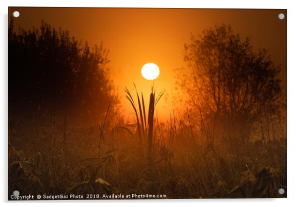 Sunrise from beneath the marshes Acrylic by GadgetGaz Photo