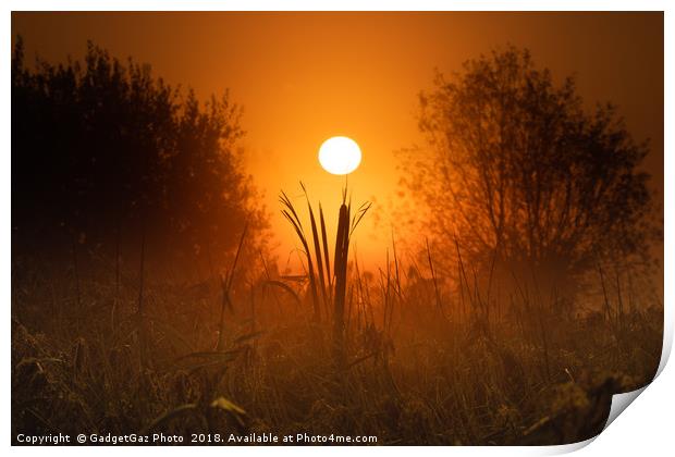 Sunrise from beneath the marshes Print by GadgetGaz Photo