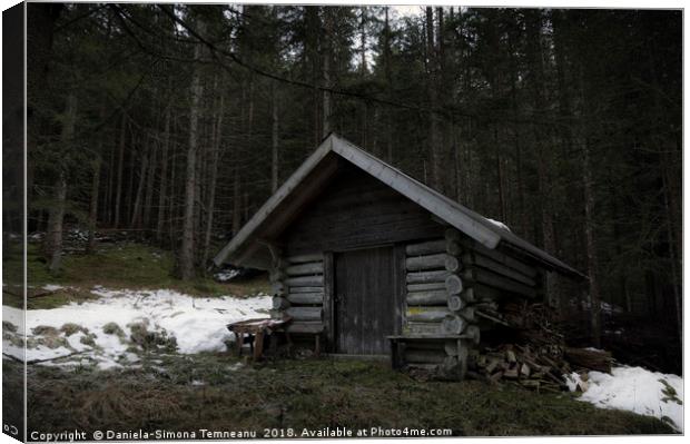 Hunting lodge in austrian forest Canvas Print by Daniela Simona Temneanu