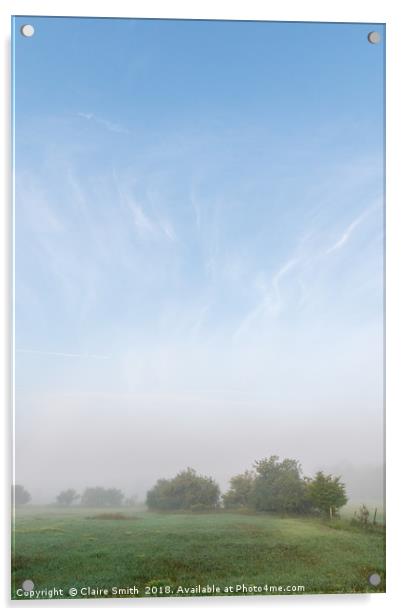 Whimsical foggy pasture and surprising blue sky Acrylic by Claire Smith