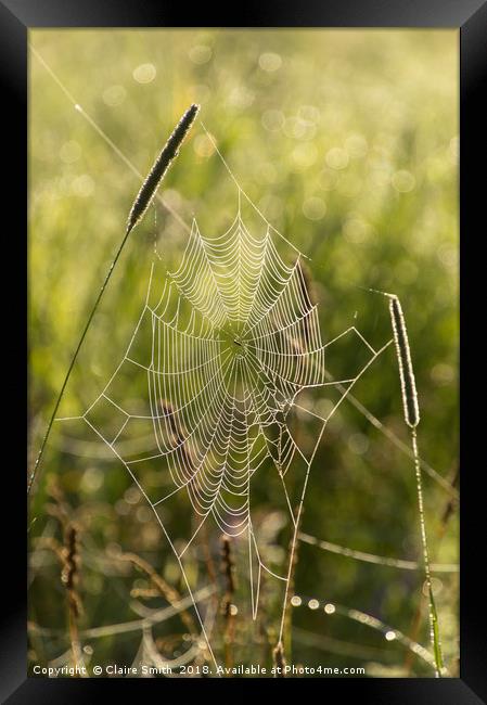 Dew covered cobwebs at dawn on a summer morning Framed Print by Claire Smith