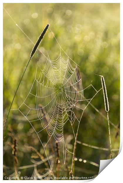 Dew covered cobwebs at dawn on a summer morning Print by Claire Smith