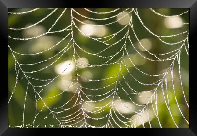 Abstract close-up glistening dew covered cobweb Framed Print by Claire Smith