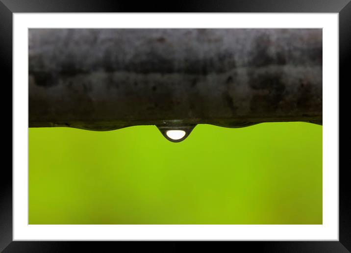 The Last Drop Framed Mounted Print by Jonathan Thirkell