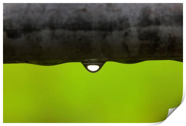 The Last Drop Print by Jonathan Thirkell