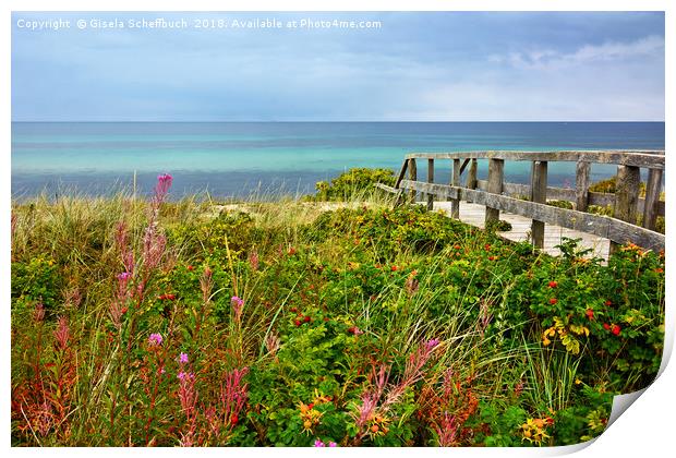 Late Summer on the Baltic Sea Print by Gisela Scheffbuch