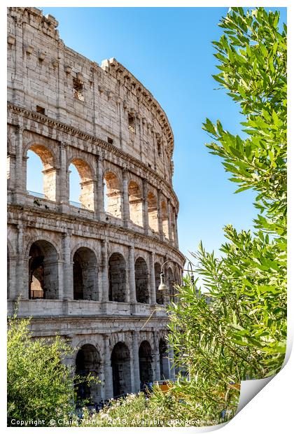 Colosseum seen through the trees Print by Claire Turner