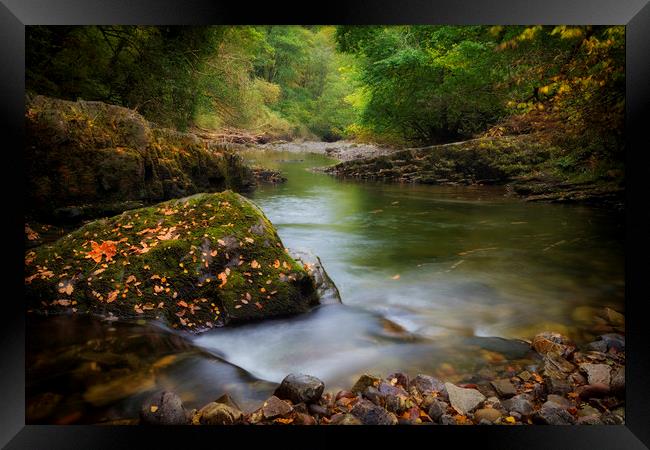Autumn river in South Wales Framed Print by Leighton Collins