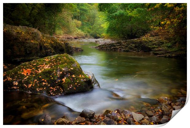 Autumn river in South Wales Print by Leighton Collins