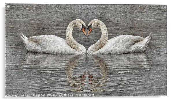 Swans Heart To Heart Sketch Style Drawing Acrylic by Kevin Maughan