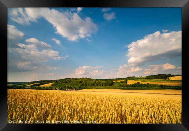 Chiltern Hills countryside  Framed Print by Chris Rabe