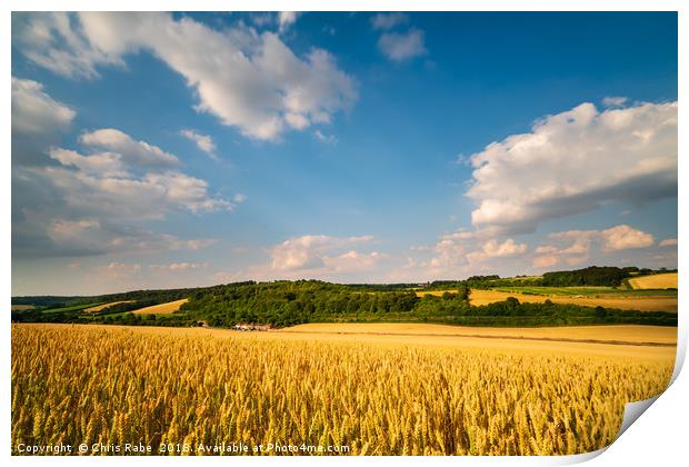Chiltern Hills countryside  Print by Chris Rabe