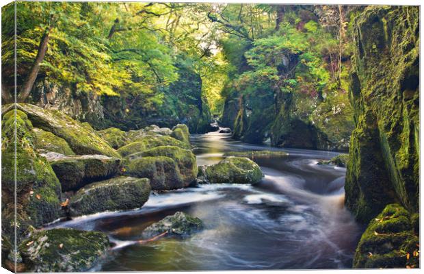 Fairy Glen - Betws y Coed Canvas Print by Rory Trappe