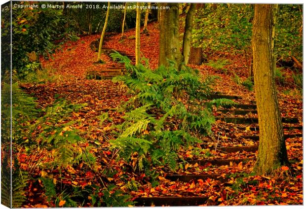 A Walk in the Autumn Wood Canvas Print by Martyn Arnold