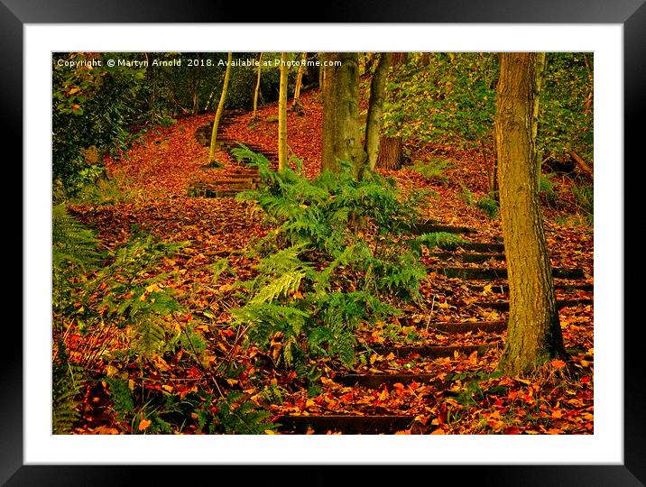 A Walk in the Autumn Wood Framed Mounted Print by Martyn Arnold